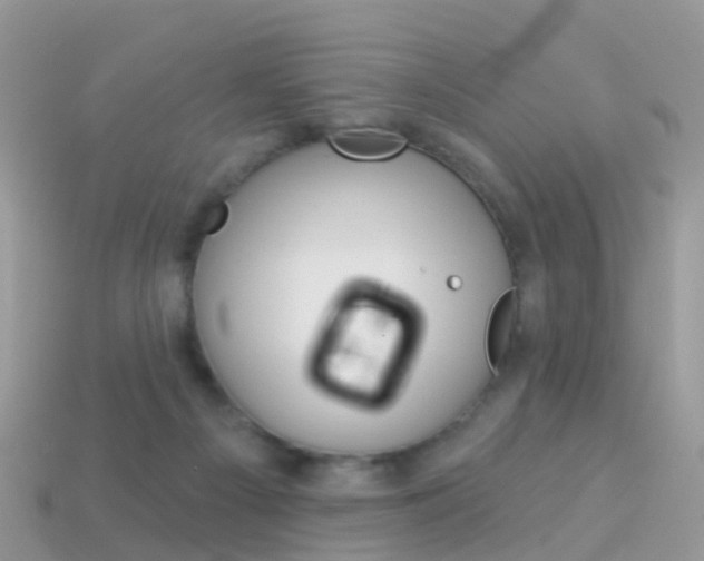 X0000114240121200910091357