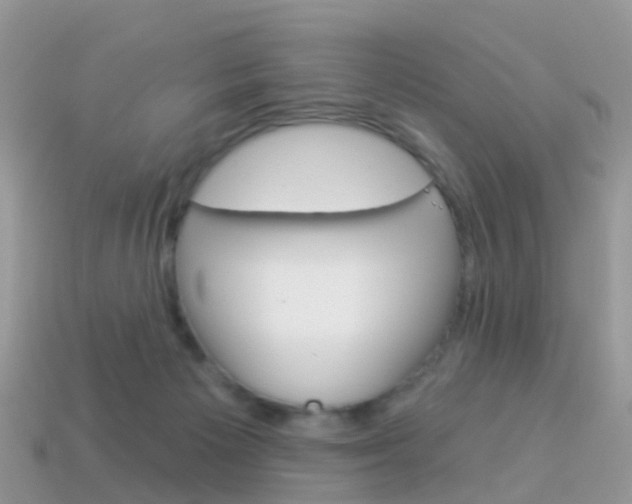 X0000114240125200910091357