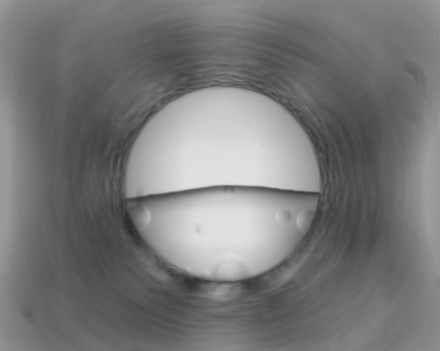 X0000114240135200910091357
