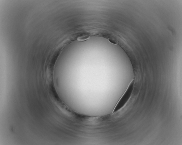 X0000114240136200910091357