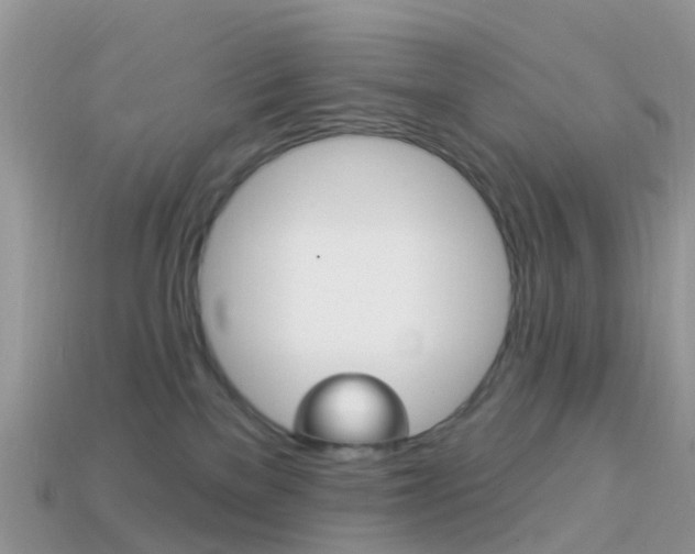 X0000114240137200910091356