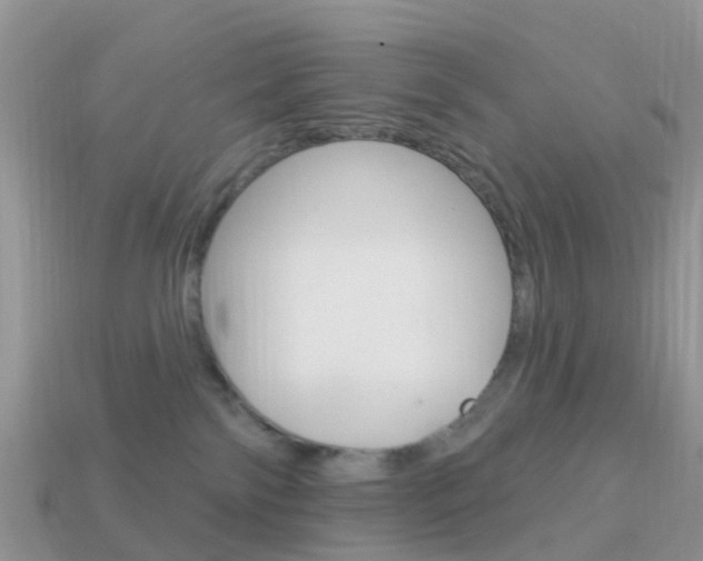 X0000114240138200910091356