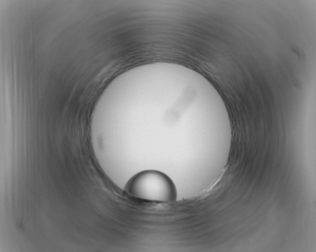 X0000114240140200910091356