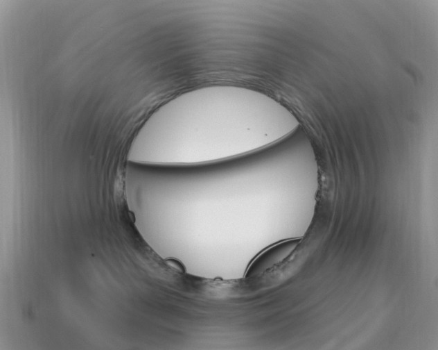 X0000114240143200910091356
