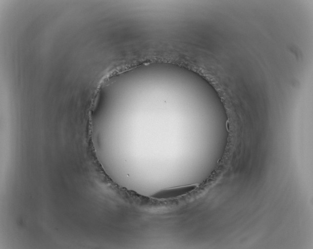 X0000114240144200910091356