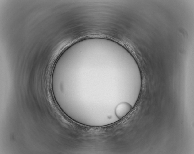 X0000114240145200910091356