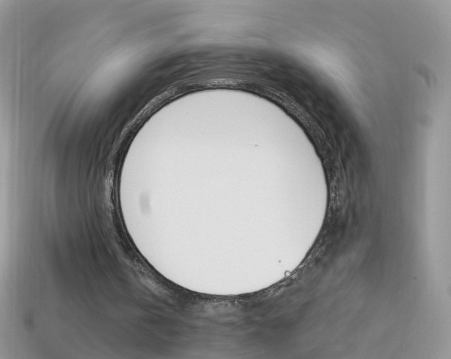 X0000114240146200910091356