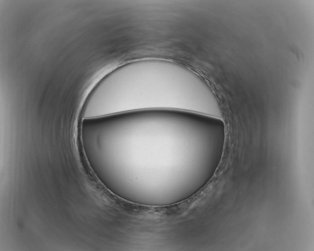 X0000114240148200910091356