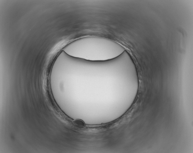 X0000114240149200910091356
