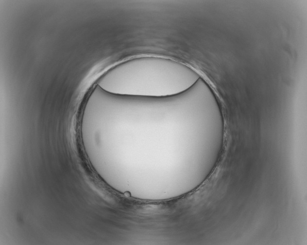 X0000114240151200910091356