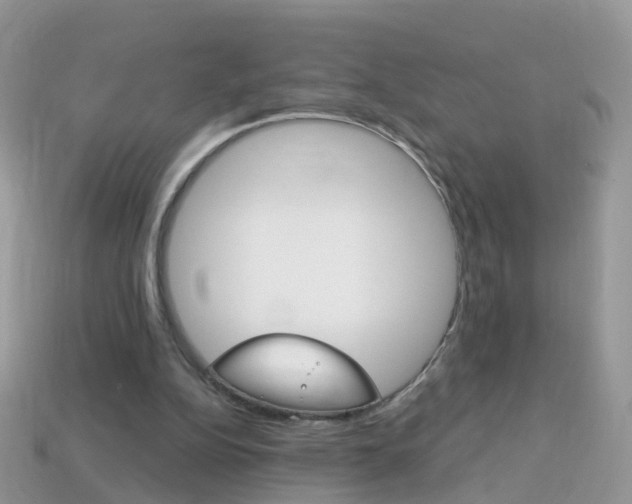 X0000114240152200910091356