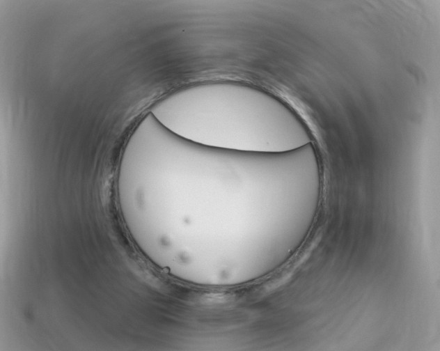 X0000114240153200910091356