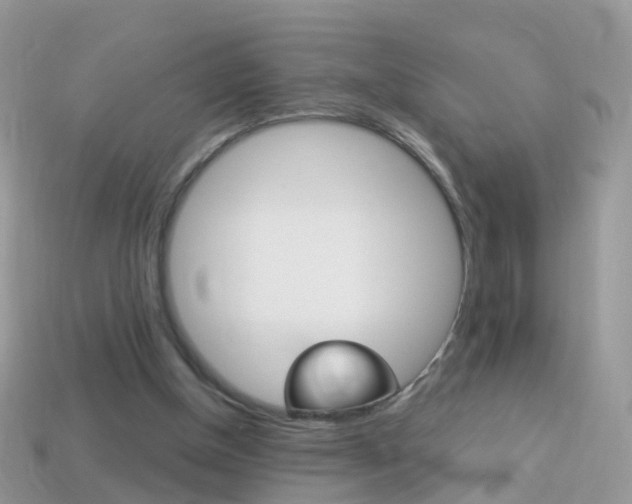 X0000114240154200910091356