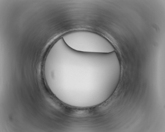 X0000114240155200910091356