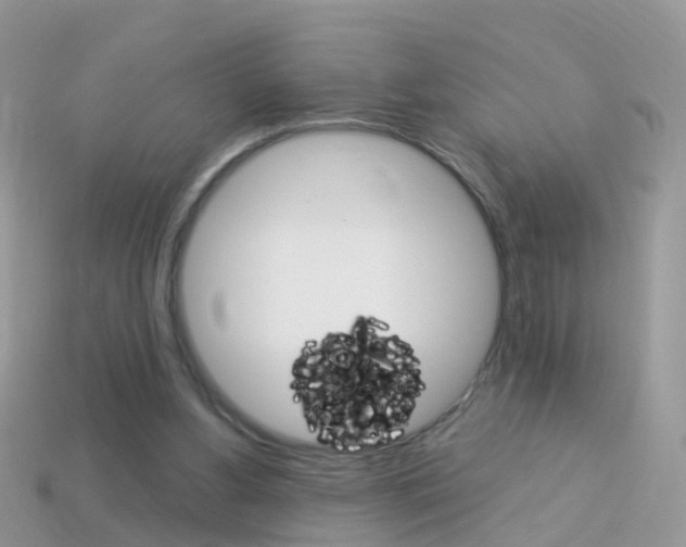 X0000114240156200910091356