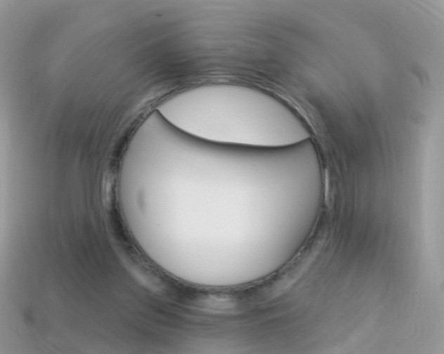 X0000114240157200910091356