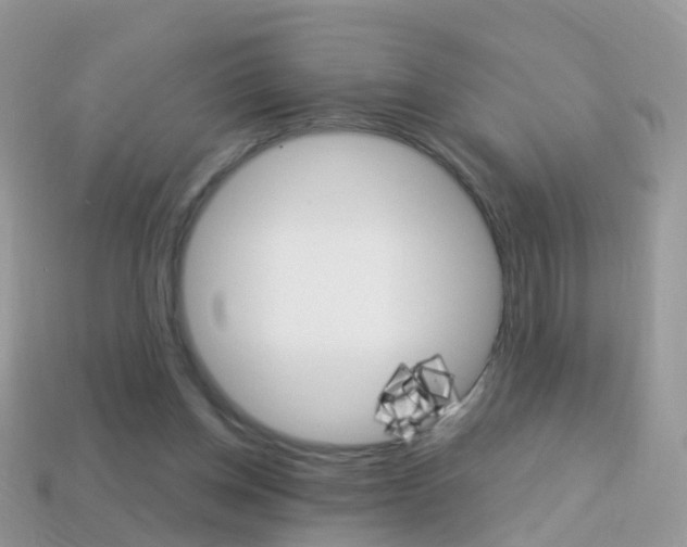 X0000114240158200910091356
