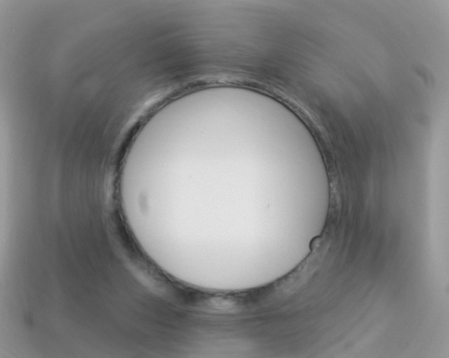 X0000114240159200910091356