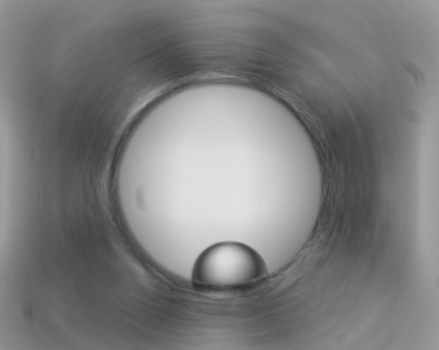 X0000114240160200910091356