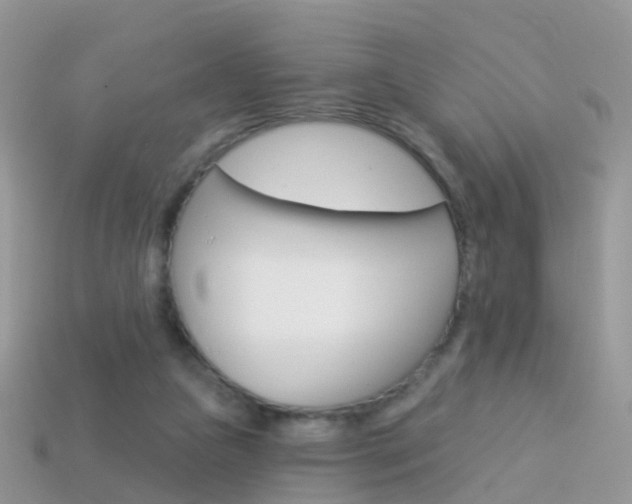 X0000114240161200910091356