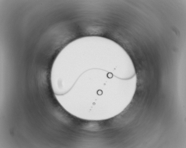 X0000114240162200910091356