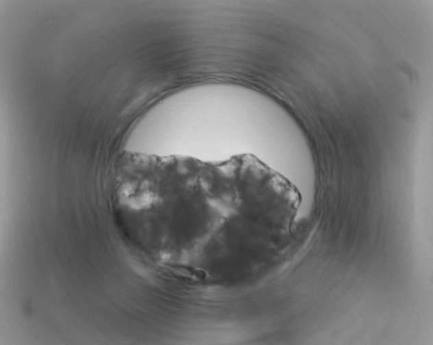 X0000114240165200910091356