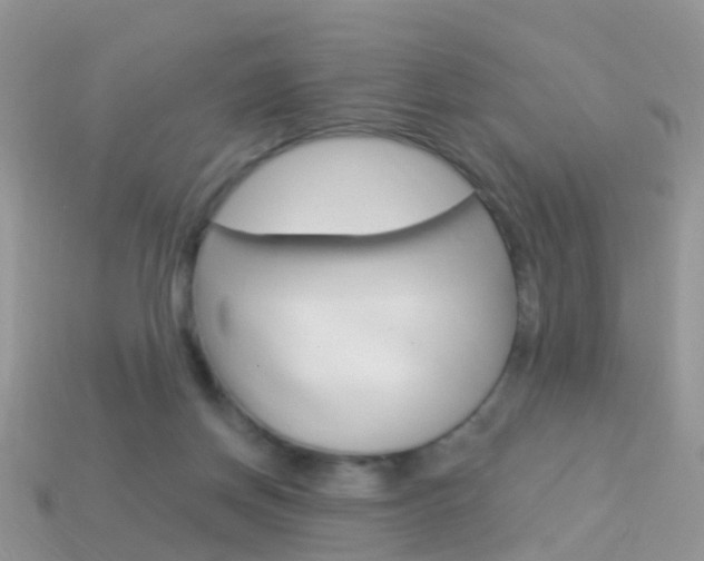 X0000114240166200910091356