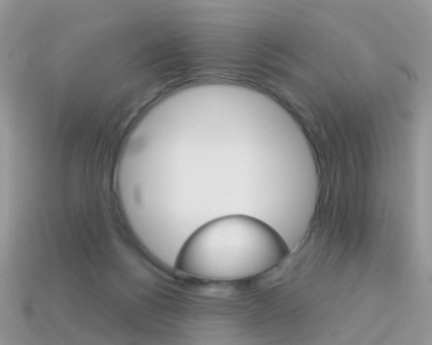 X0000114240168200910091356