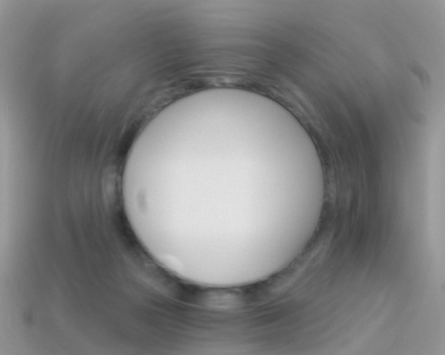 X0000114240169200910091356