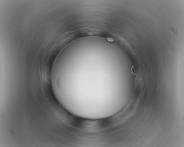 X0000114240170200910091356
