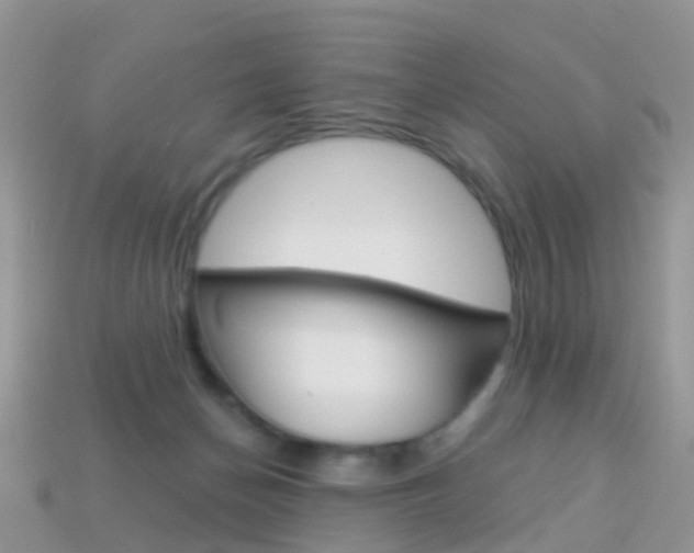X0000114240174200910091356