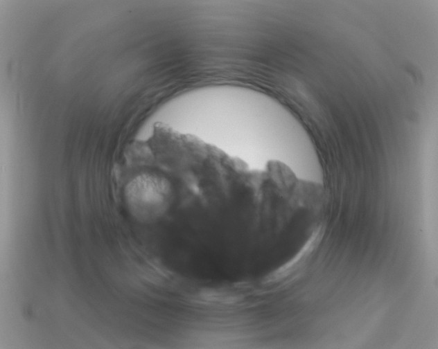 X0000114240175200910091356
