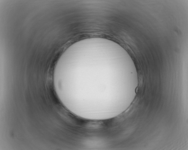 X0000114240179200910091356