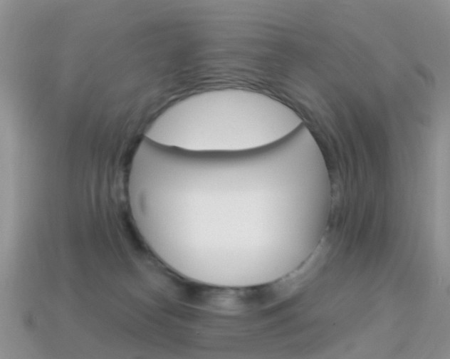 X0000114240182200910091356