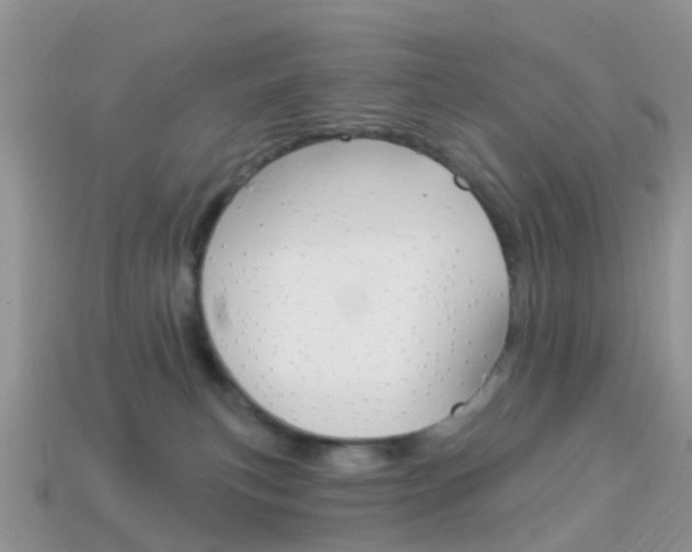 X0000114240183200910091356