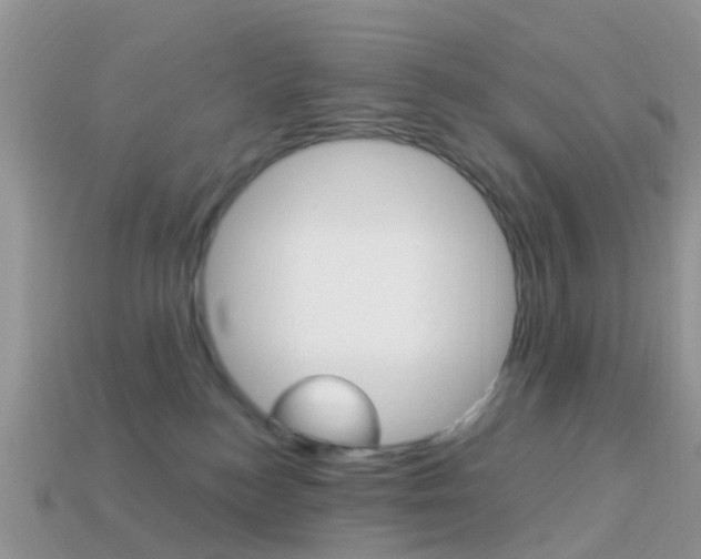 X0000114240184200910091356
