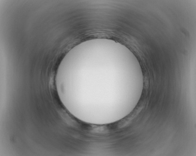 X0000114240185200910091356