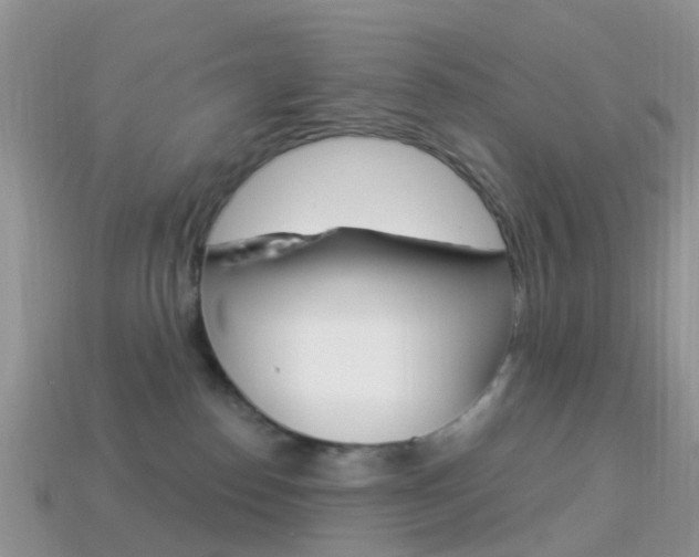 X0000114240186200910091356