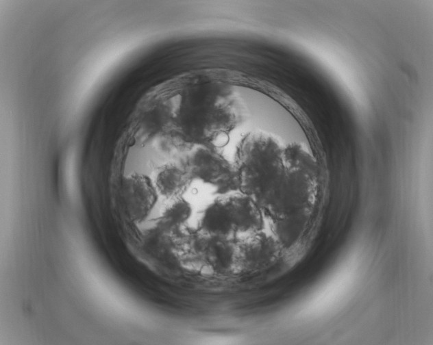 X0000114240189200910091356