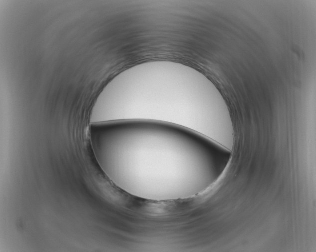 X0000114240190200910091356