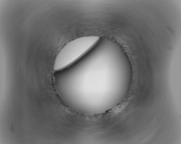 X0000114240192200910091356