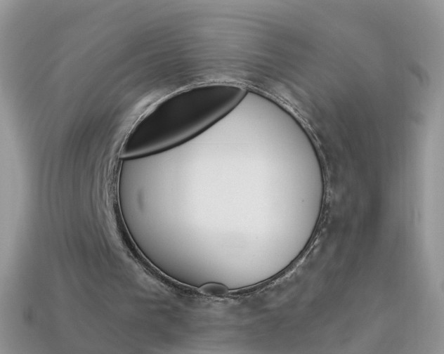 X0000114240193200910091356