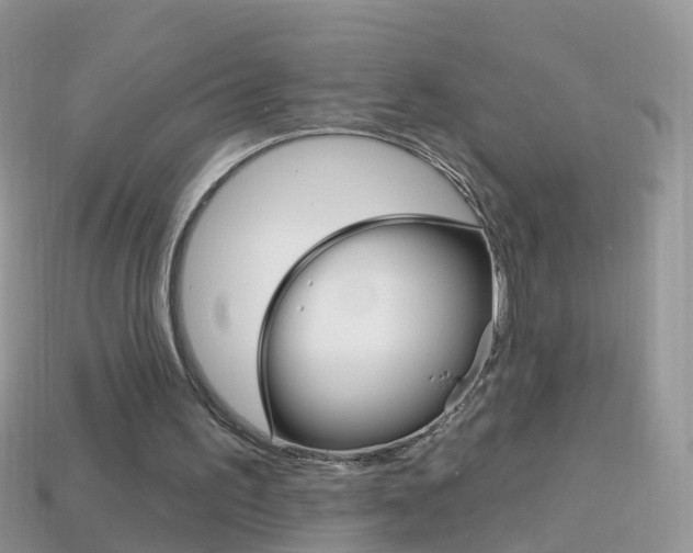 X0000114240195200910091356
