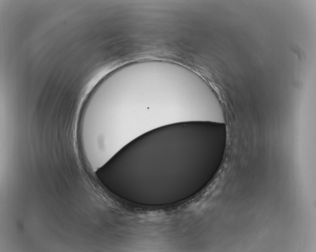 X0000114240196200910091356