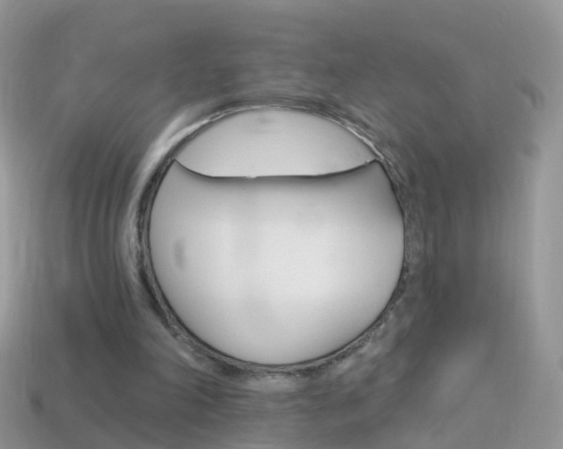 X0000114240198200910091356