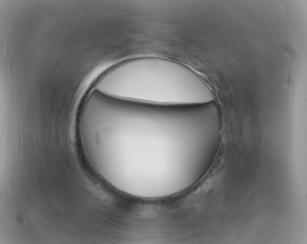 X0000114240200200910091356