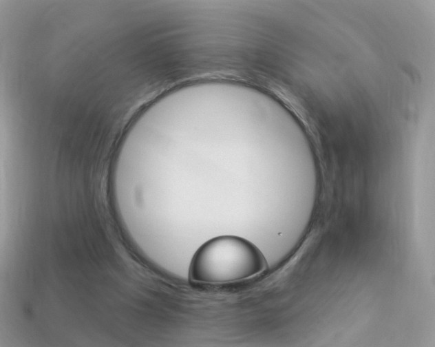X0000114240201200910091355