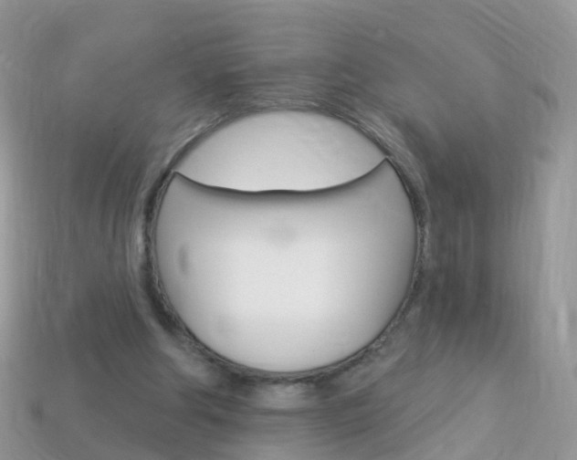 X0000114240202200910091355