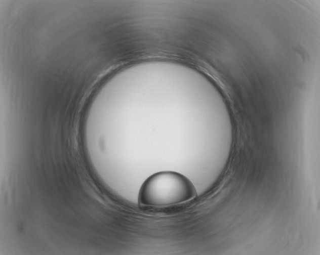 X0000114240203200910091355