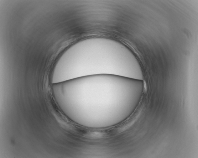 X0000114240205200910091355
